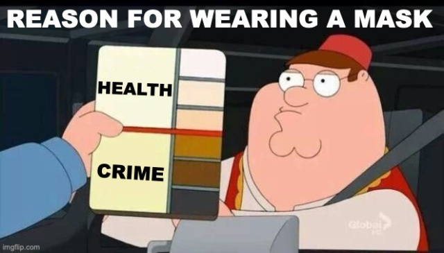 Meme: Screenshot from Family Guy showing a toll booth worker holding a "skin tone chart" up to Peter Griffin.

Text reads:
Reason for wearing a mask
Health
Crime