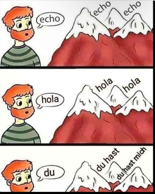 A cartoon character shouts into mountains and hears echoes. He says "echo" and the mountains echo back. He says "hola" and the mountains echo back. Finally, he says "du" and the mountains echo "du hast mich”