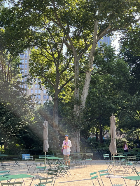 Chairs and tables in a park with tall green trees