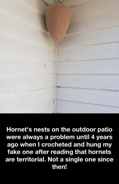 The image shows a crocheted hornet's nest hanging from the corner of a white wooden structure, possibly a house. The nest is made of a textured yarn, resembling the appearance of a hornet's nest. Below the image, there is a caption that reads 'Hornet's nests on the outdoor patio were always a problem until 4 years ago when I crocheted and hung my fake one after reading that hornets are territorial. Not a single one since then!' This suggests that the person who crocheted the nest did so as a solution to the problem of hornets being territorial and attacking the nests on the outdoor patio.