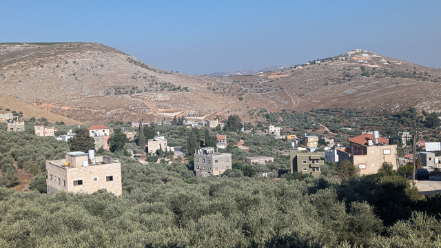 A village full of olive trees with rocky hills and a bright blue sky in the background