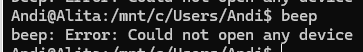 $ beep
beep: Error: Could not open any device
