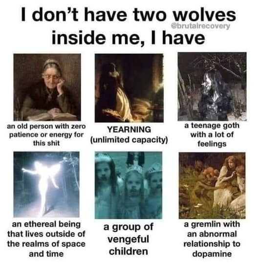 6 panel meme: I don't have two wolves inside me, I have 1 an old person with zero patience or energy for this shit. 2 Yearning (unlimited capacity). 3. a teenage goth with a lot of feelings. 4. an ethereal being that lives outside of the realms of space and time. 5 a group of vengeful children. 6. a gremlin with an abnormal relationship to dopamine.