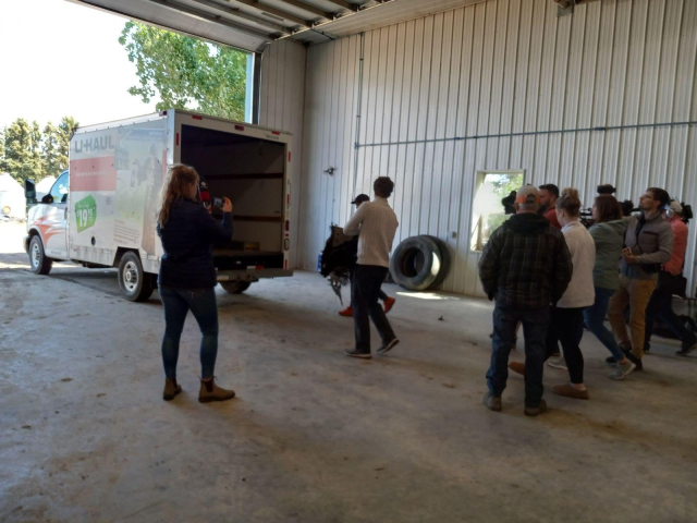 A whole large group of reporters, most with TV cameras, following behind 2 guys carrying a piece of space junk to a Uhaul truck.
