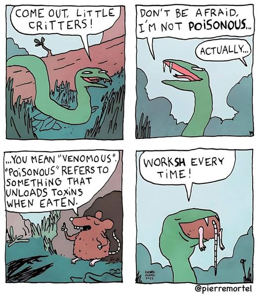 4-panel cartoon, by "@pierremortel".
1. green fangy snake crawling over a log, "Come out, little critters!"
2. snake continues, "Don't be afraid, I'm not poisonous..."  From the side, someone says "Actually..."
3. small know-it-all rodent continues, "... you mean 'venomous'.  'Poisonous' refers to something that unloads toxins when eaten."
4. snake, with speaking with mouth full of rodent, "Worksh every time!"