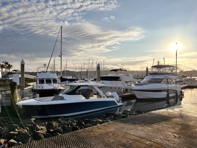  Photo of yachts at a marina