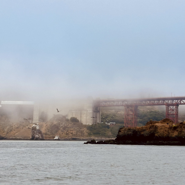 A photo of the Golden Gate Bridge covered by fog. From a boat near it