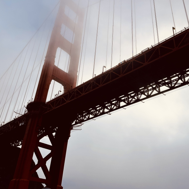 A pic of the under side of the Golden Gate Bridge from a boat 