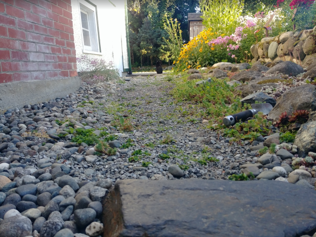 A small black cat, sitting at the end of a gravel path, that runs alongside a white house with a red brick chimney.

There are flowers and cacti along the side of the path, and trees in the background.