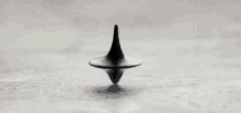 Inception spinning top