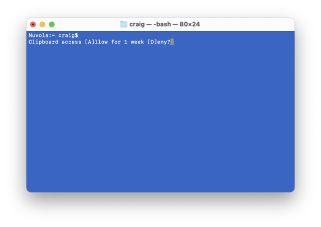 A faked screenshot of a Terminal window that shows “Clipboard access [A]llow for 1 week [D]eny?”