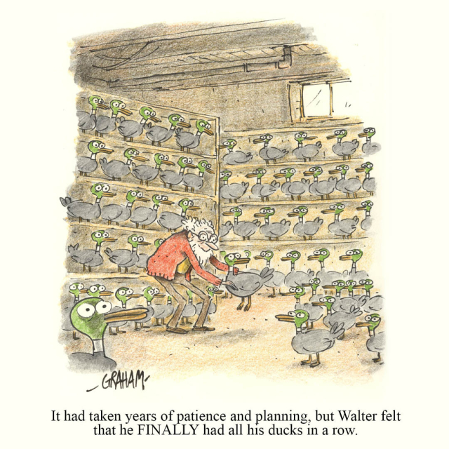 A cartoon illustration of an old man placing a final duck down in a basement completely filled up with ducks in rows. The caption reads "It had taken years of patience and planning, but Walter felt that he FINALLY had all his ducks in a row."