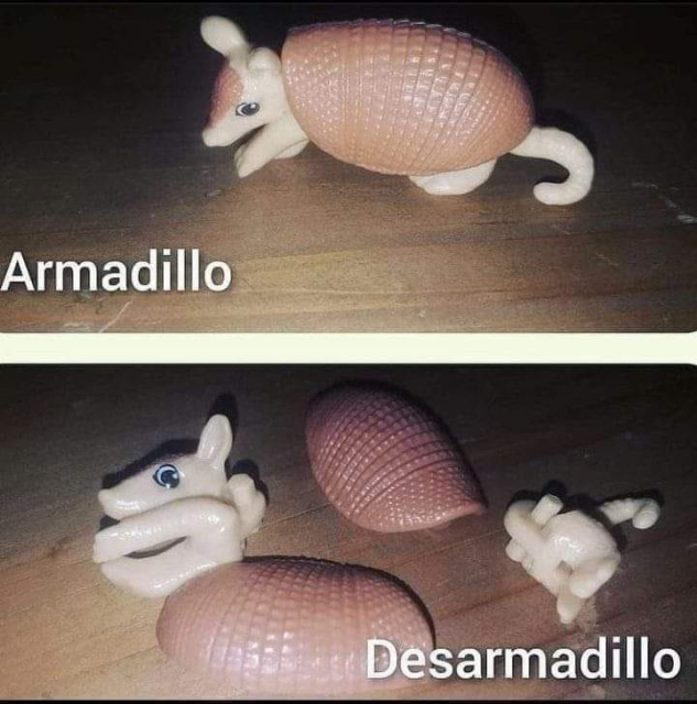 Meme

Panel 1. Juguete plástico de un armadillo (Conejo tortuga/conejo calabaza) con el texto:
Armadillo

Panel 2. Mismo juguete pero ahora desarmado en partes con el texto:
Desarmadillo