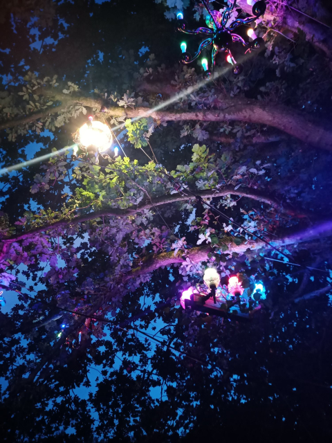 Some old chandeliers whuch have coloured lights, hanging in a tree