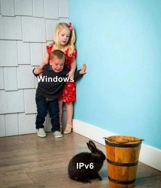 *Kids Scared of Rabbit meme*

Kids: Windows
Bunny: IPv6

Original Picture Credits: Camera Shy (March 14th, 2015)
