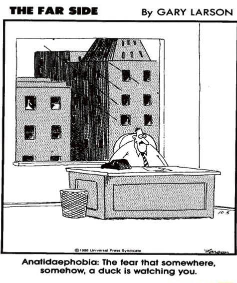 A "The Far Side" cartoon, captioned: "Anatidaephobia: The fear that somewhere, somehow, a duck is watching you." A man sits at an office desk, looking alarmed. Behind him is a large window showing some nearby high-rise buildings. In one of those buildings, in one of those windows, a duck looks out ominously.