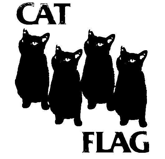 The Black Flag band logo but with four black cats instead of four black rectangles. 