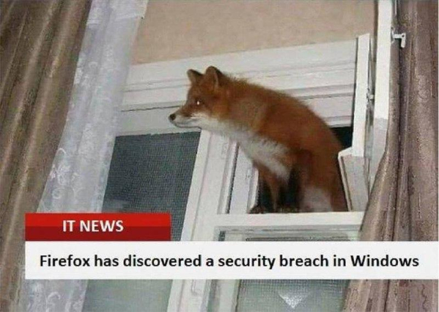 The image shows a fox entering a window with a caption: "Firefox has discovered a security breach in Windows."