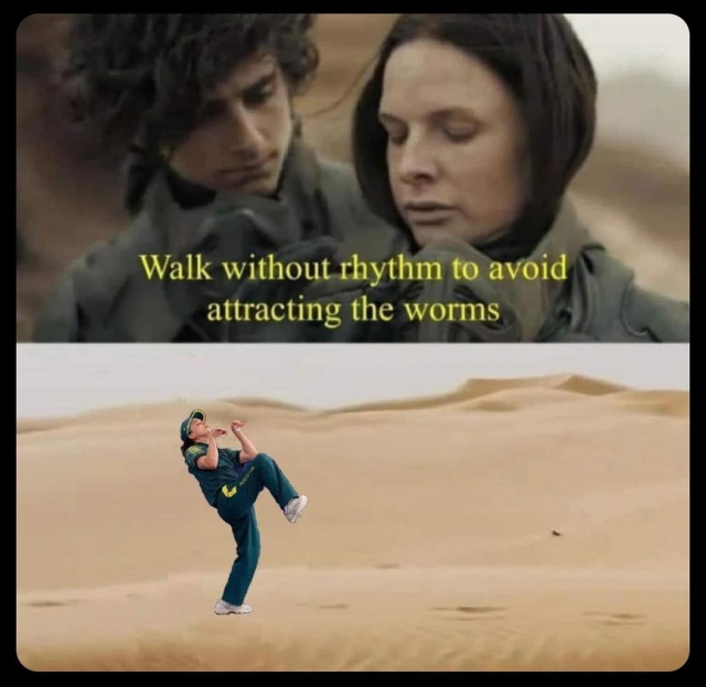 Top panel, a photo from the movie Dune with text "walk without rhythm to avoid attracting the worms"

Bottom panel, a photo of RayGunn dancing at the Olympics photoshopped into a desert.