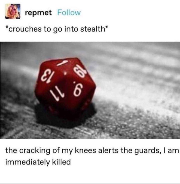 Tumblrina Repmet writes

*crouches to go stealth*

A red d20 shows a 1

The cracking of my knees alerts the guards. I am immediately killed.
