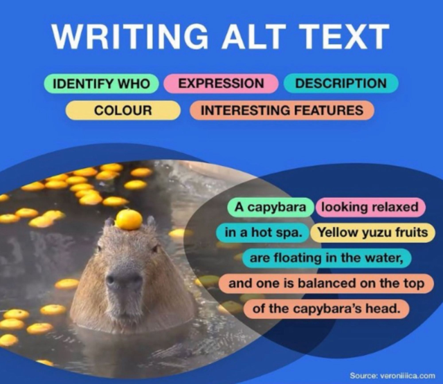 Guide on writing Alt Text: identifying who, the expression, the description, color, and interesting features. 
A capybara (who) looks relaxed (expression) in a hot spa (description). Yellow yuzu fruits (colour) are floating in the water (description), and one is balanced on the top of the capybaras head ( features).