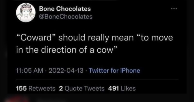 Twitter user Bone Chocolates says “ "Coward" should really mean "to move in the direction of a cow"”