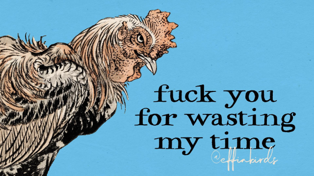 A painting of a bird next to the words "fuck you for wasting my time"