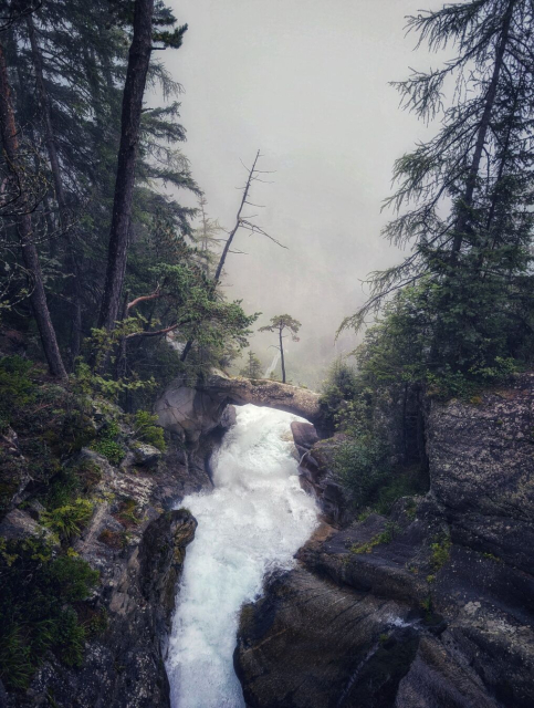 Ein Gebirgsbach fließt durch eine Schlucht und dann durch ein natürliches steinernes Portal in die Tiefe (letzteres ist nicht zu sehen, der Bach ist einfach weg). Auf der natürlichen Steinbrücke über dem Wasserfall wächst ein einzelner kleiner Baum. Links und rechts stehen Nadelbäume. Der Hintergrund ist durch den Nebel fast nicht zu erkennen, aber die tiefe ist zu erahnen