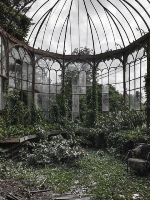 This is the very fancy greenhouse attached to the house, about half of the glass is missing and it's overgrown inside, you can see the remnants of some benches peaking out