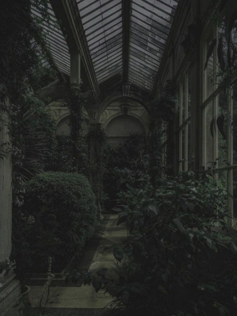 A solarium with an arched glass roof, you can tell it was grand and well planted at one point but now it's overgrown 