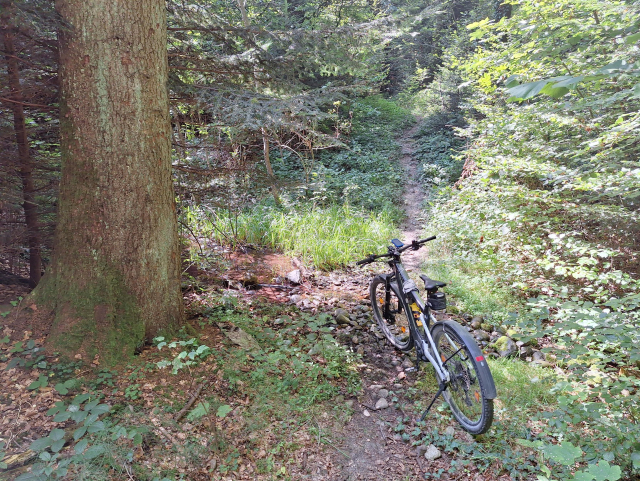 Mein Fahrrad in einem Bach, der den Waldweg kreuzt