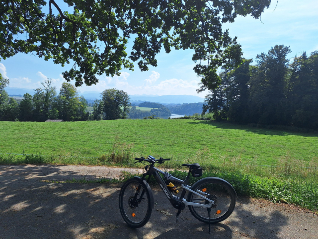 Mein Fahrrad auf einem Hügel neben einem Baum, im Hintergrund der Schiffenensee Richtung Fribourg, noch mal dahinter die Alpen