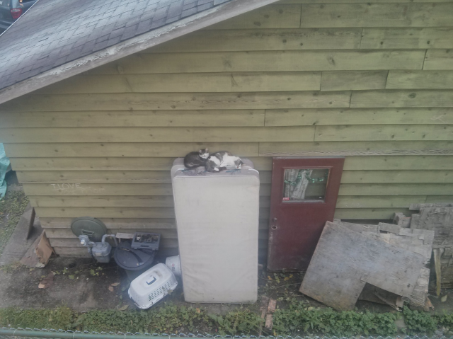 A photo of a mother cat and her kitten, sleeping on top of a mattress set, stood up and leaning against a single floor house.