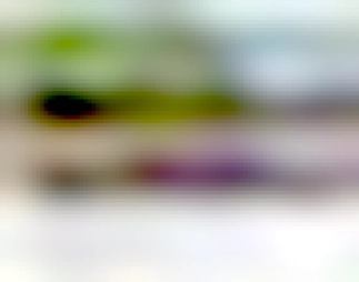 title: Drive on China's National Highway 318 to Lhasa, the largest city in Tibet.
Video thumbnail is a herd of very fluffy cows all covering the road