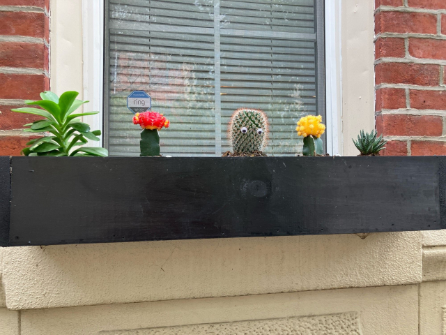A cactus with googly eyes sits in an urban window box, watching the street. There's a ring sticker in the background (which I didn't notice when I stopped and took the picture). 
