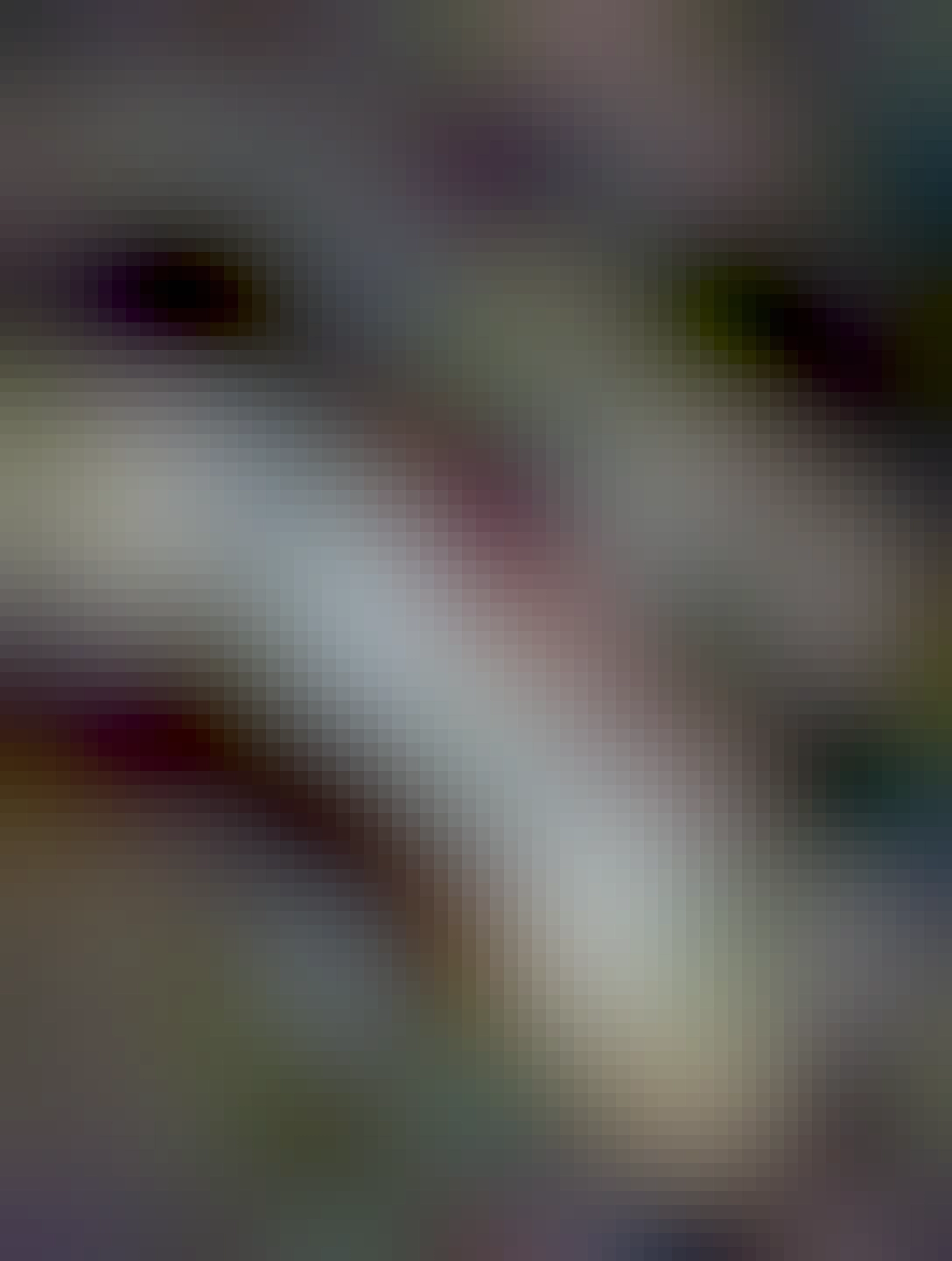 Transparenty:
Národ povstal!
Začnite s vysťahovaním!
29. august 1944

www.sen... (to som nepochopil)