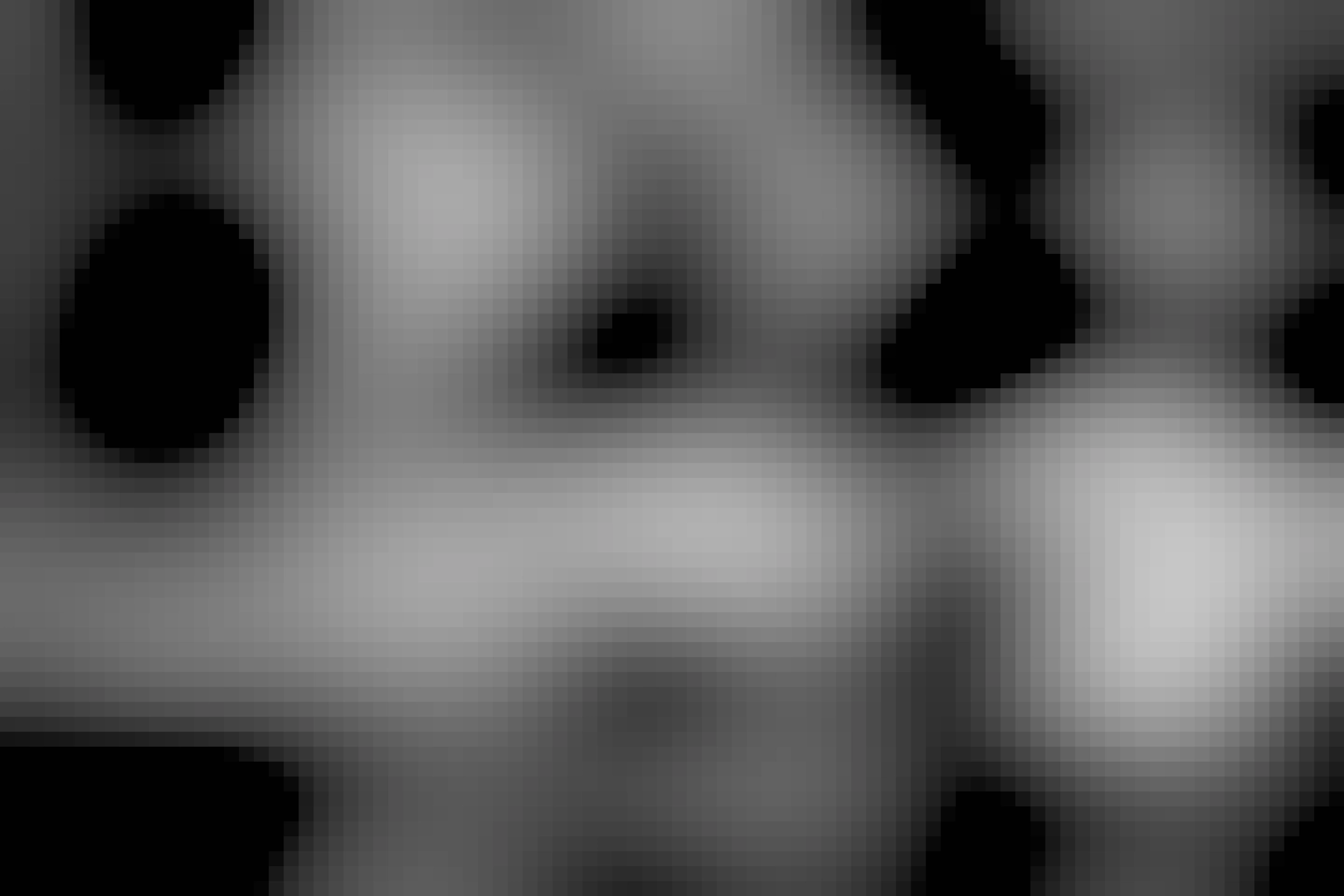 Foto, SW, beiße auf eine Gitarre 