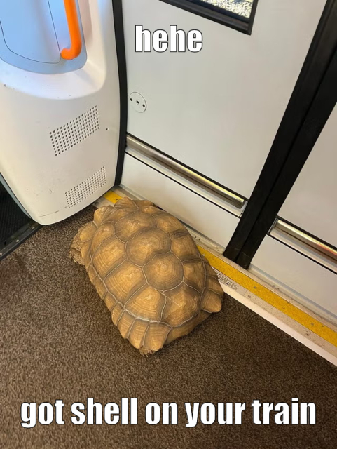 A Tortoise inside a train, next to the doorway. 

Caption: “hehe, got shell on ur train”

Via: https://www.independent.co.uk/news/uk/home-news/tortoise-solomon-network-rail-train-turtle-escape-b2583982.html