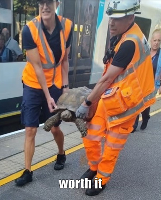 The tortoise being carried off the train by rail staff (in reference to the bad joke)

Caption: “worth it”

Via: https://www.independent.co.uk/news/uk/home-news/tortoise-solomon-network-rail-train-turtle-escape-b2583982.html