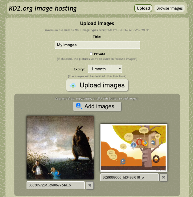 Screenshot of upload in Fotoo