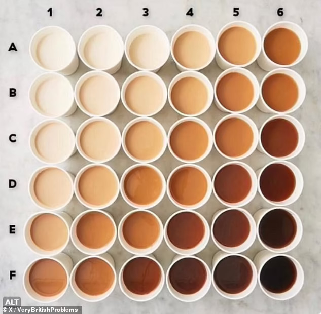 A 6 by 6 square grid of mugs of tea, photographed from above. Rows are headed with the letters A - F, and columns are headed 1 - 6. The mug in A1 looks like it's mostly milk with little if any tea. The mug in F6 is black (well , very dark brown) tea with no milk. In between, the colour fades between the two, showing different strengths of tea. Mugs along 45 degree diagonals from bottom left to top right appear to share the same colour/strength.