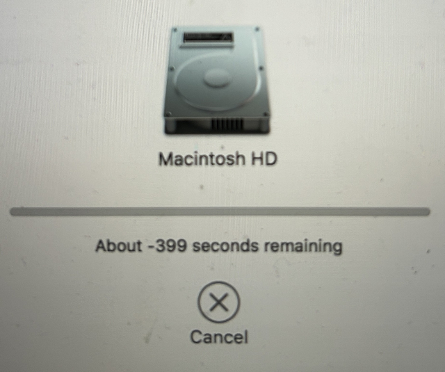 Screenshot of macOS Installer

Progress bar

Message says
About -399 seconds remaining 