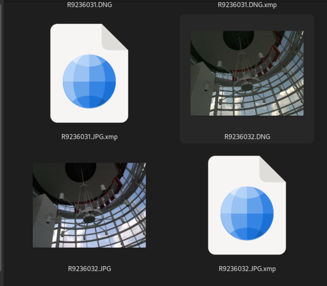 Screenshot of Nautilus showing 4 files. Two of them have a thumbnail preview of the image. One is a ,JPG the other is a .DNG. The two other files are just .xmp.