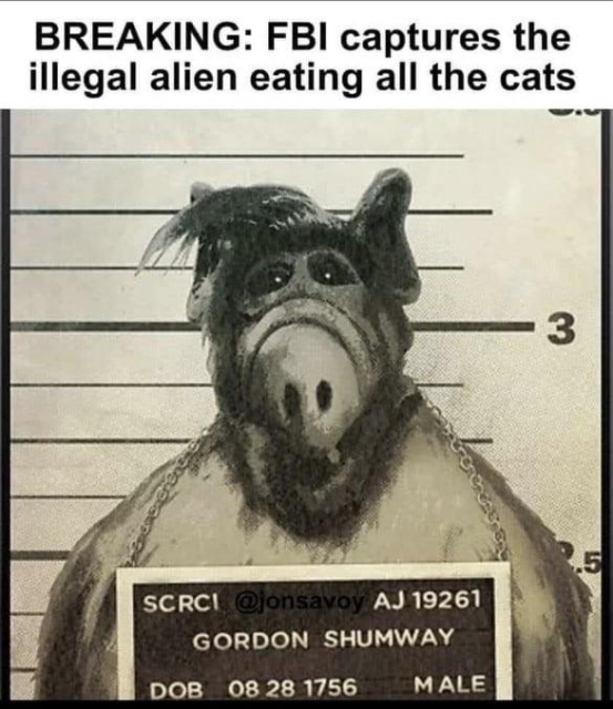 Mug shot-style poster featuring Alf from the 80s show 'Alf' with text "BREAKING: FBI captures the illegal alien eating all the cats"