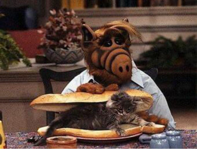 Alf with a cat in a sandwich