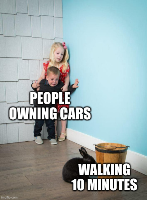 afraid of rabbit meme where a very scared kid labeled "people owning cars" is looking at a bunny labeled "walking 10 minutes"