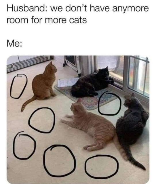 Meme about having more cats.   The picture is of multiple cats sitting in a windows room with lots of the blank areas circled.

Husband: we don’t have anymore room for more cats 

Me:  (circles the blank spaces)

