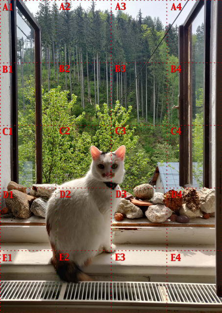 Photo of me sitting in a window. Photo has marked sections by red dashed lines and each section is marked by a coordinate. Top left is marked A1, the bottom right is E4.