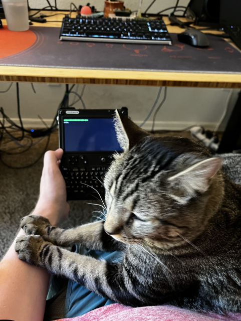 Grey cat pushing down arm of their human to prevent them from using a uconsole