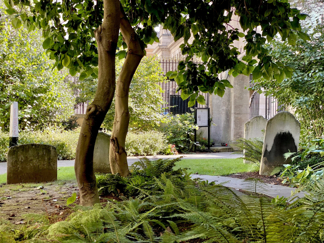 A small garden with two windy trees in the centre, some grave stones around and a wall in the back.